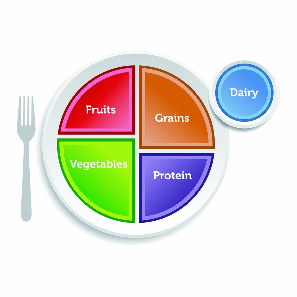 Healthy Food Plate Diagram : Guide to healthy eating diagram : The ...